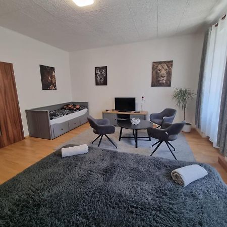 Apartmány Černý Tulipán # 1 Plzeň Exteriér fotografie