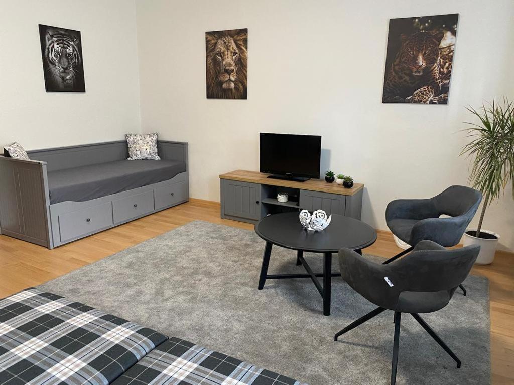 Apartmány Černý Tulipán # 1 Plzeň Exteriér fotografie