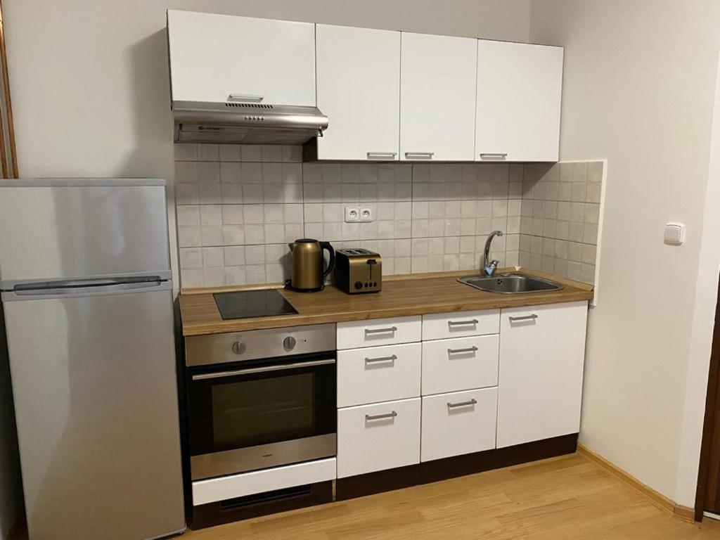 Apartmány Černý Tulipán # 1 Plzeň Exteriér fotografie