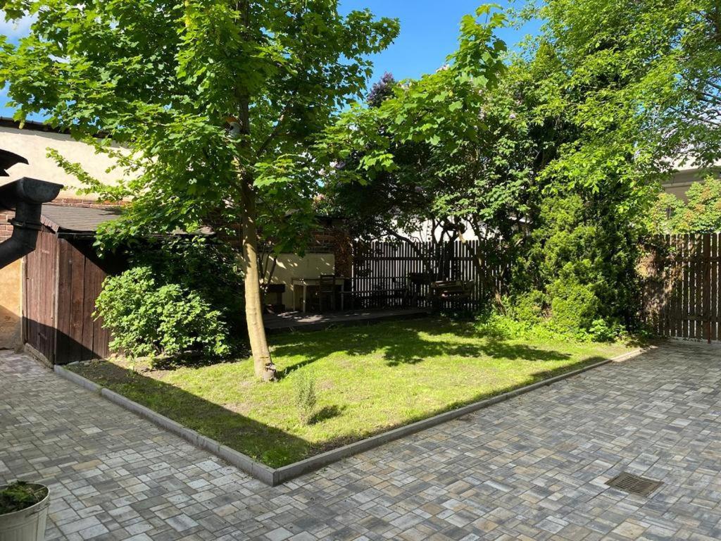 Apartmány Černý Tulipán # 1 Plzeň Exteriér fotografie