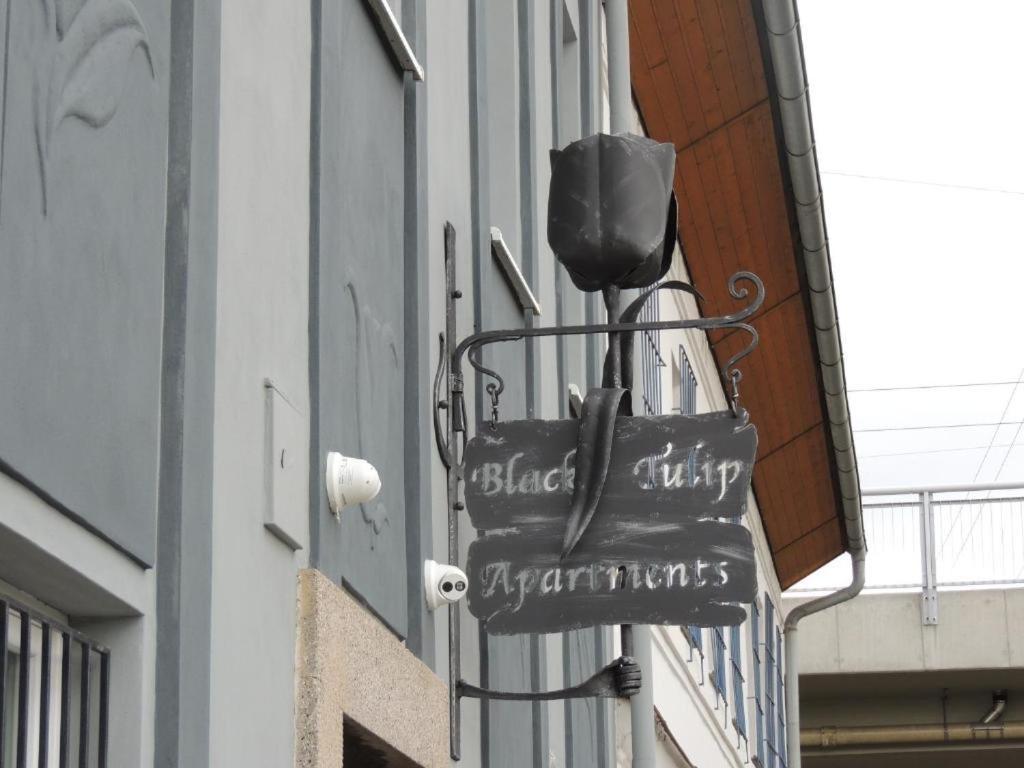 Apartmány Černý Tulipán # 1 Plzeň Exteriér fotografie