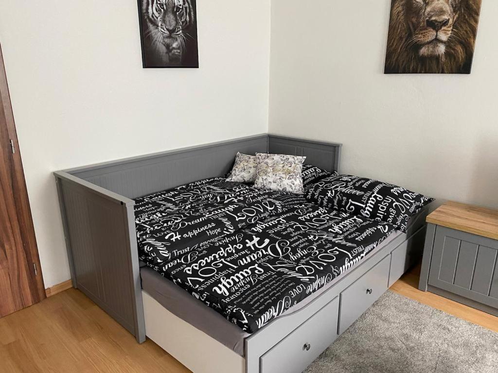 Apartmány Černý Tulipán # 1 Plzeň Exteriér fotografie