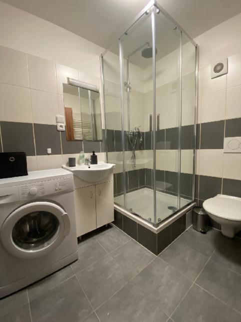 Apartmány Černý Tulipán # 1 Plzeň Exteriér fotografie