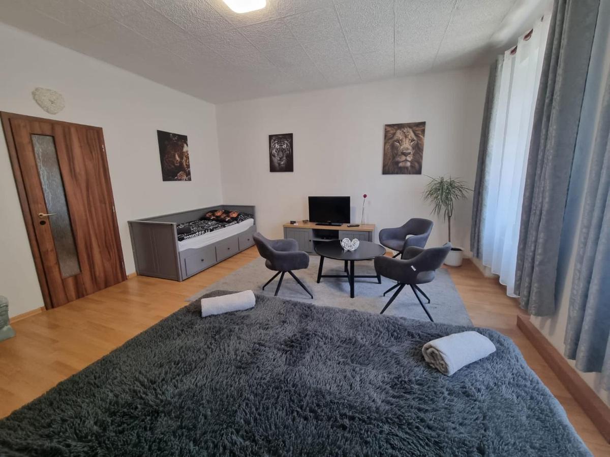 Apartmány Černý Tulipán # 1 Plzeň Exteriér fotografie