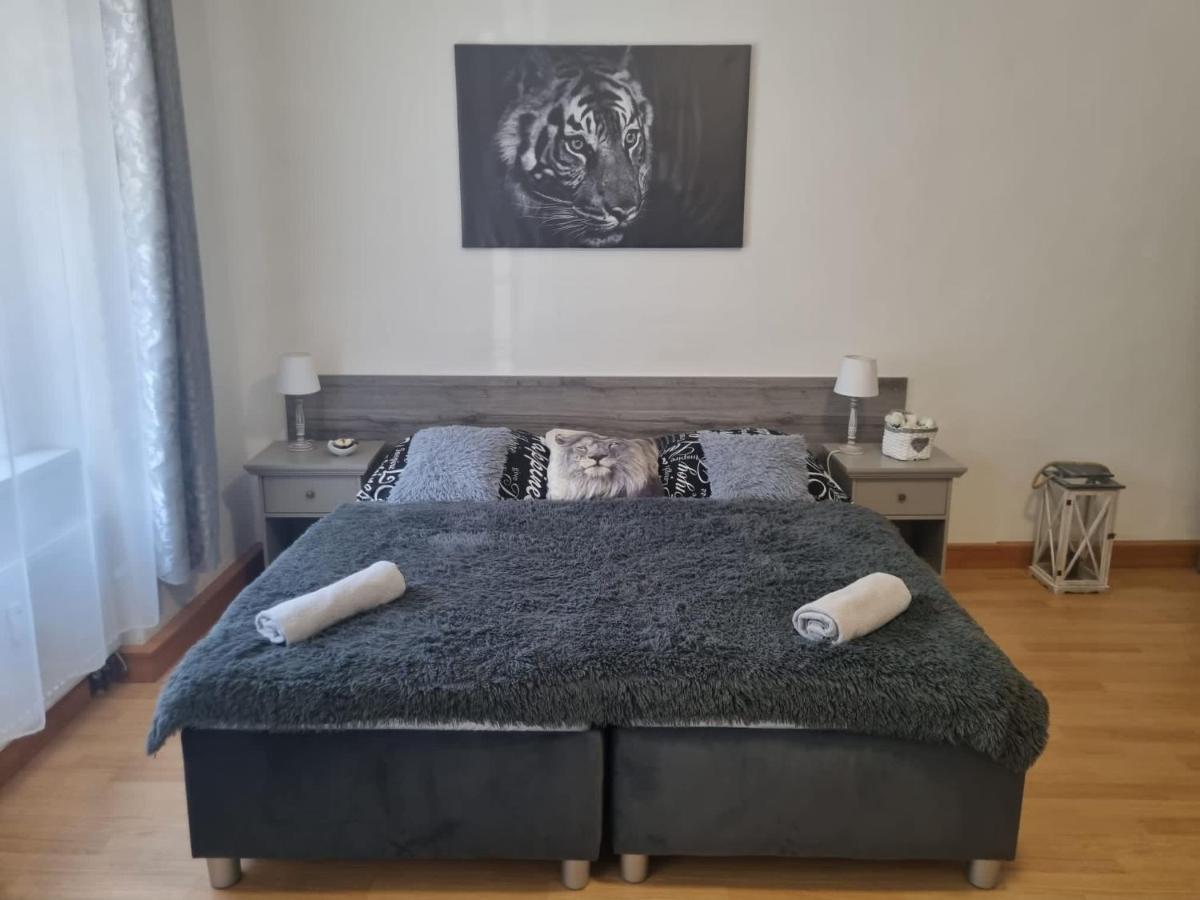 Apartmány Černý Tulipán # 1 Plzeň Exteriér fotografie