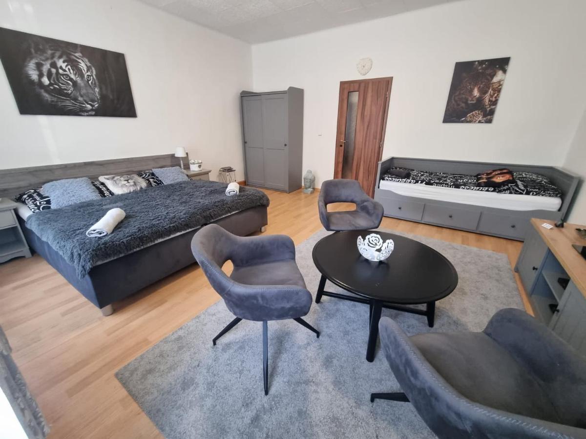Apartmány Černý Tulipán # 1 Plzeň Exteriér fotografie