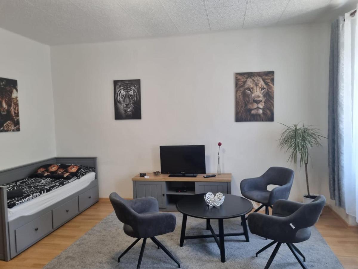 Apartmány Černý Tulipán # 1 Plzeň Exteriér fotografie