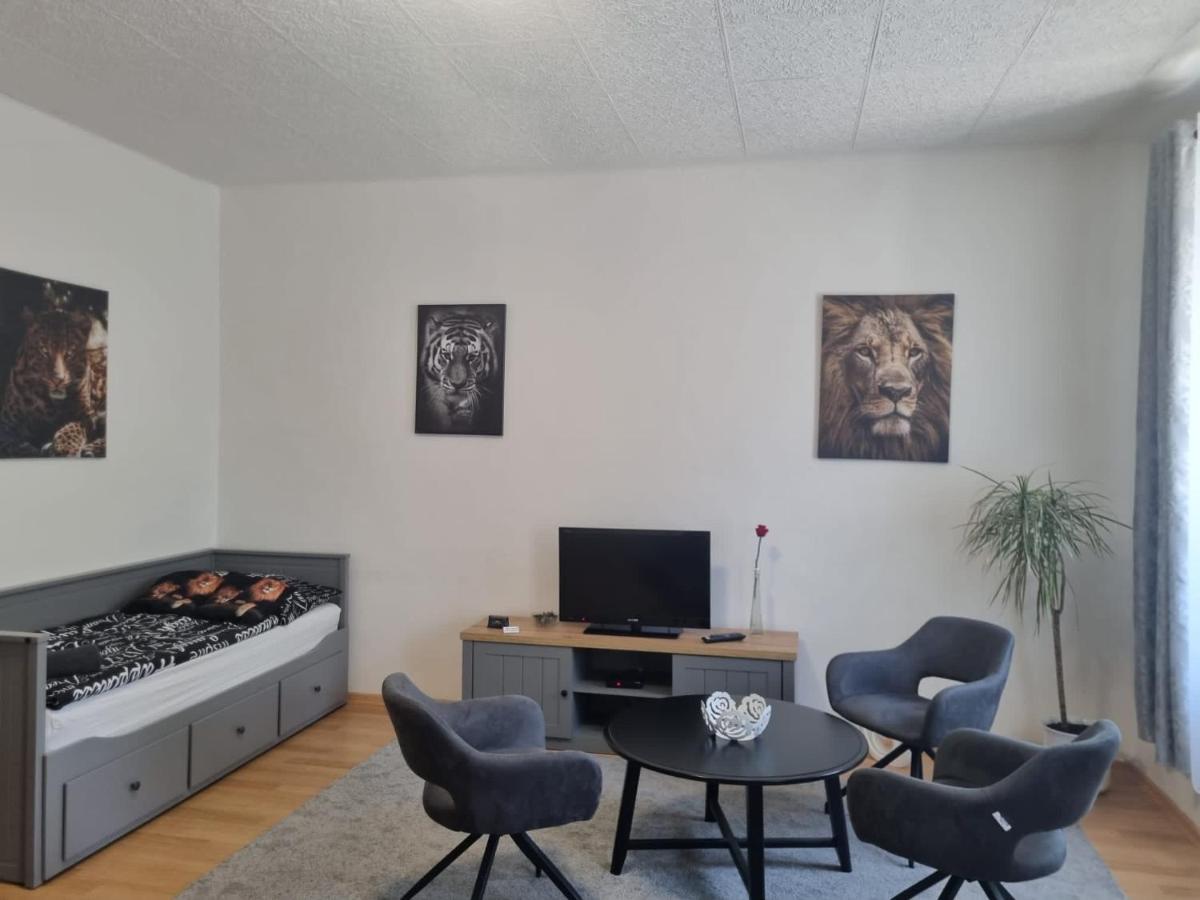 Apartmány Černý Tulipán # 1 Plzeň Exteriér fotografie