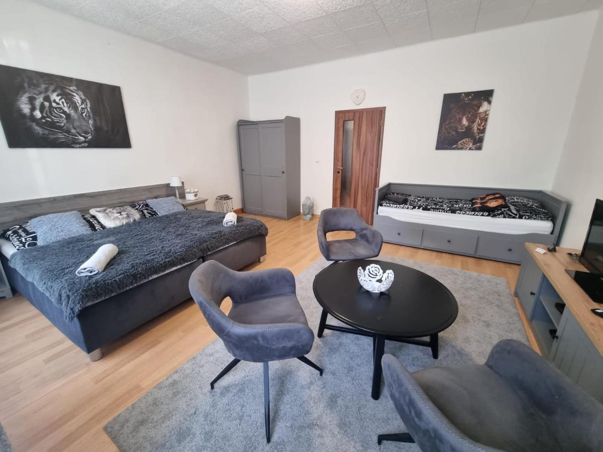 Apartmány Černý Tulipán # 1 Plzeň Exteriér fotografie